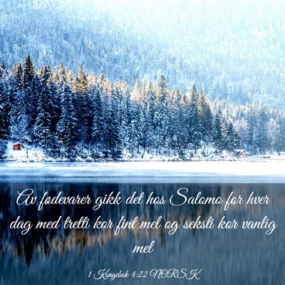 Picture 03 - 1 Kongebok 4:22 NORSK - Av fødevarer gikk det hos Salomo for hver dag - Bible Verse Picture