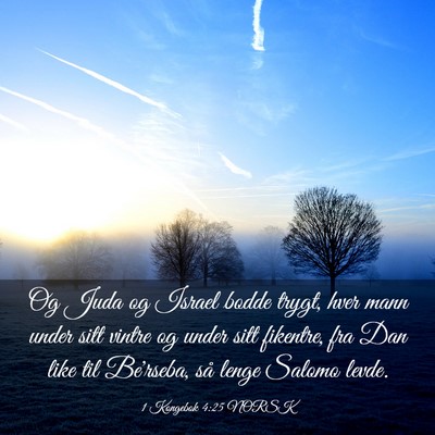 Picture 03 - 1 Kongebok 4:25 NORSK - Og Juda og Israel bodde trygt, hver mann under - Bible Verse Picture