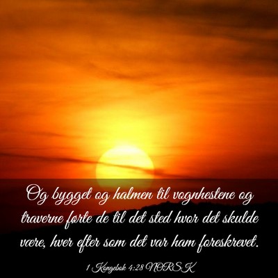 Picture 03 - 1 Kongebok 4:28 NORSK - Og bygget og halmen til vognhestene og traverne - Bible Verse Picture