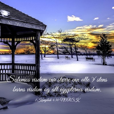 Picture 03 - 1 Kongebok 4:30 NORSK - Salomos visdom var større enn alle ¥stens barns - Bible Verse Picture