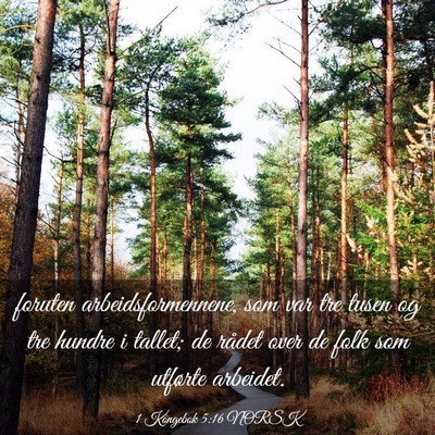 Picture 03 - 1 Kongebok 5:16 NORSK - foruten arbeidsformennene, som var tre tusen og - Bible Verse Picture