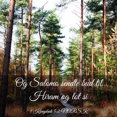 Picture 03 - 1 Kongebok 5:2 NORSK - Og Salomo sendte bud til Hiram og lot - Bible Verse Picture