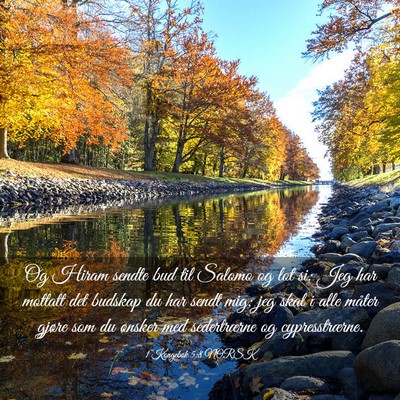 Picture 03 - 1 Kongebok 5:8 NORSK - Og Hiram sendte bud til Salomo og lot si: Jeg har - Bible Verse Picture