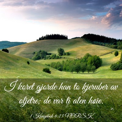 Picture 03 - 1 Kongebok 6:23 NORSK - I koret gjorde han to kjeruber av oljetre; de var - Bible Verse Picture