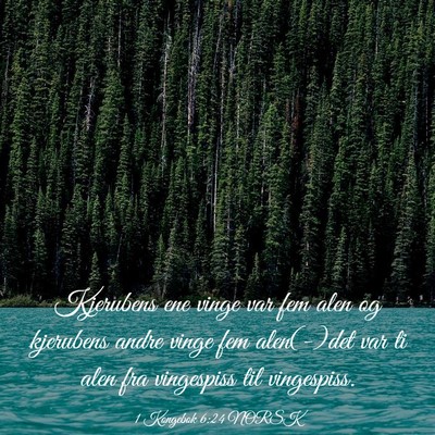 Picture 03 - 1 Kongebok 6:24 NORSK - Kjerubens ene vinge var fem alen og kjerubens - Bible Verse Picture