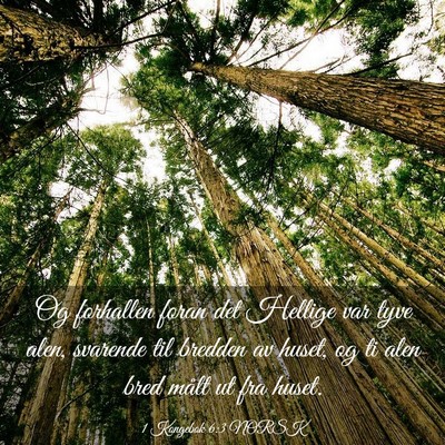 Picture 03 - 1 Kongebok 6:3 NORSK - Og forhallen foran det Hellige var tyve alen, - Bible Verse Picture
