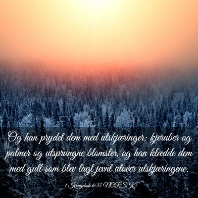 Picture 03 - 1 Kongebok 6:35 NORSK - Og han prydet dem med utskjæringer: kjeruber og - Bible Verse Picture