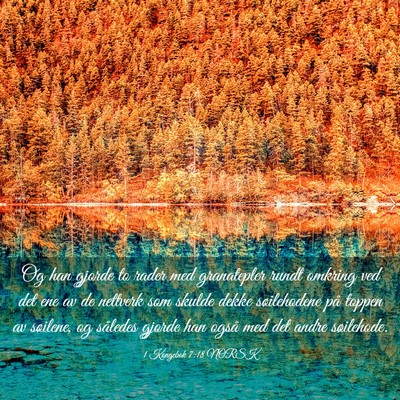 Picture 03 - 1 Kongebok 7:18 NORSK - Og han gjorde to rader med granatepler rundt - Bible Verse Picture
