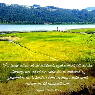 Picture 03 - 1 Kongebok 7:20 NORSK - På begge søilene var det søilehoder, også - Bible Verse Picture