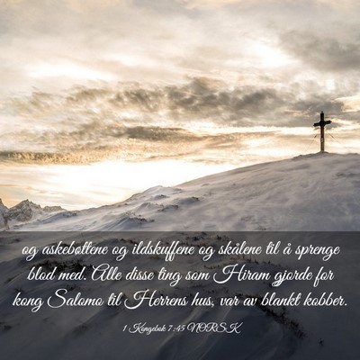 Picture 03 - 1 Kongebok 7:45 NORSK - og askebøttene og ildskuffene og skålene til å - Bible Verse Picture