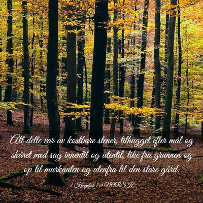Picture 03 - 1 Kongebok 7:9 NORSK - Alt dette var av kostbare stener, tilhugget efter - Bible Verse Picture