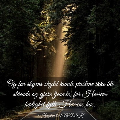 Picture 03 - 1 Kongebok 8:11 NORSK - Og for skyens skyld kunde prestene ikke bli - Bible Verse Picture