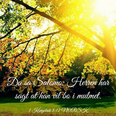 Picture 03 - 1 Kongebok 8:12 NORSK - Da sa Salomo: Herren har sagt at han vil bo i - Bible Verse Picture