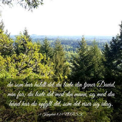 Picture 03 - 1 Kongebok 8:24 NORSK - du som har holdt det du lovte din tjener David, - Bible Verse Picture