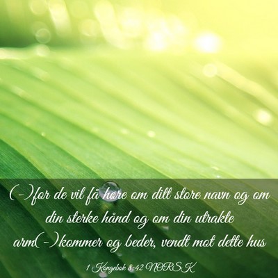 Picture 03 - 1 Kongebok 8:42 NORSK - (-)for de vil få høre om ditt store navn og om - Bible Verse Picture