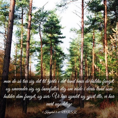Picture 03 - 1 Kongebok 8:47 NORSK - men de så tar sig det til hjerte i det land hvor - Bible Verse Picture