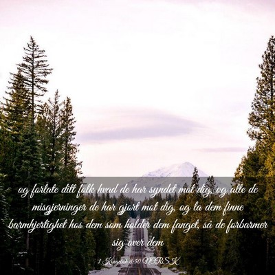 Picture 03 - 1 Kongebok 8:50 NORSK - og forlate ditt folk hvad de har syndet mot dig, - Bible Verse Picture