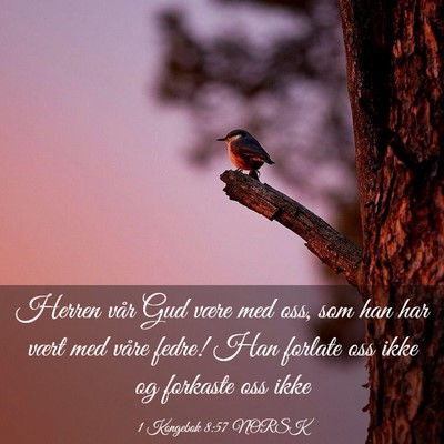 Picture 03 - 1 Kongebok 8:57 NORSK - Herren vår Gud være med oss, som han har vært - Bible Verse Picture