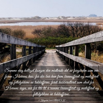 Picture 03 - 1 Kongebok 8:64 NORSK - Samme dag helliget kongen den midterste del av - Bible Verse Picture