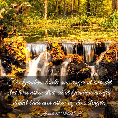 Picture 03 - 1 Kongebok 8:7 NORSK - For kjerubene bredte sine vinger ut over det sted - Bible Verse Picture