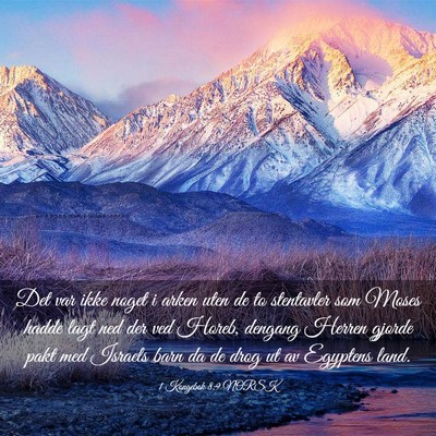 Picture 03 - 1 Kongebok 8:9 NORSK - Det var ikke noget i arken uten de to stentavler - Bible Verse Picture