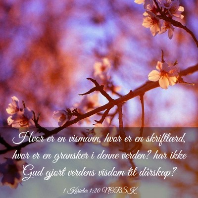 Picture 03 - 1 Korinter 1:20 NORSK - Hvor er en vismann, hvor er en skriftlærd, hvor - Bible Verse Picture
