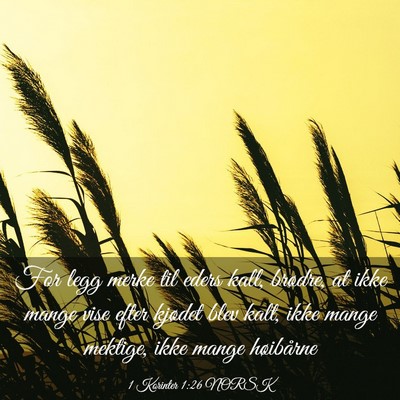 Picture 03 - 1 Korinter 1:26 NORSK - For legg merke til eders kall, brødre, at ikke - Bible Verse Picture