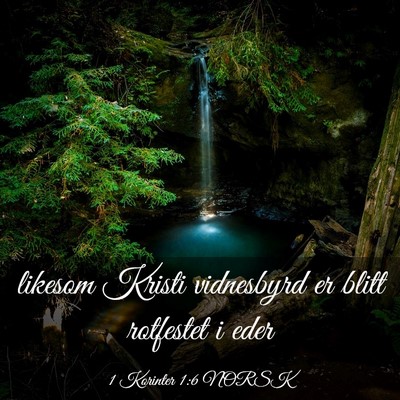 Picture 03 - 1 Korinter 1:6 NORSK - likesom Kristi vidnesbyrd er blitt rotfestet i - Bible Verse Picture