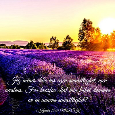 Picture 03 - 1 Korinter 10:29 NORSK - Jeg mener ikke ens egen samvittighet, men - Bible Verse Picture