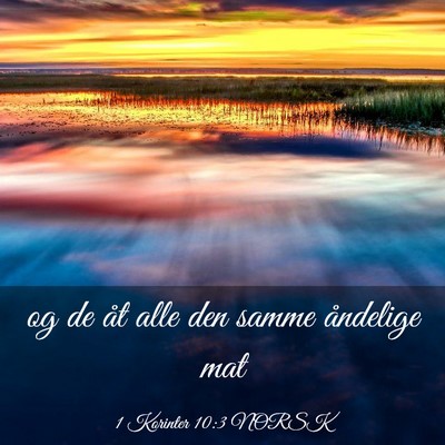 Picture 03 - 1 Korinter 10:3 NORSK - og de åt alle den samme åndelige - Bible Verse Picture