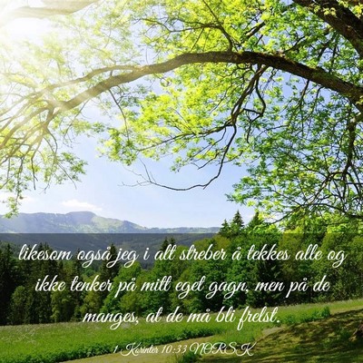 Picture 03 - 1 Korinter 10:33 NORSK - likesom også jeg i alt streber å tekkes alle og - Bible Verse Picture