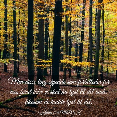 Picture 03 - 1 Korinter 10:6 NORSK - Men disse ting skjedde som forbilleder for oss, - Bible Verse Picture