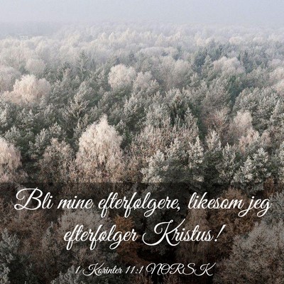 Picture 03 - 1 Korinter 11:1 NORSK - Bli mine efterfølgere, likesom jeg efterfølger - Bible Verse Picture