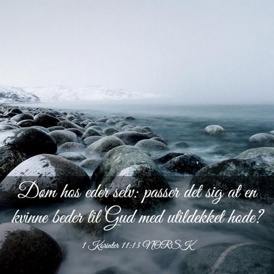 Picture 03 - 1 Korinter 11:13 NORSK - Døm hos eder selv: passer det sig at en kvinne - Bible Verse Picture