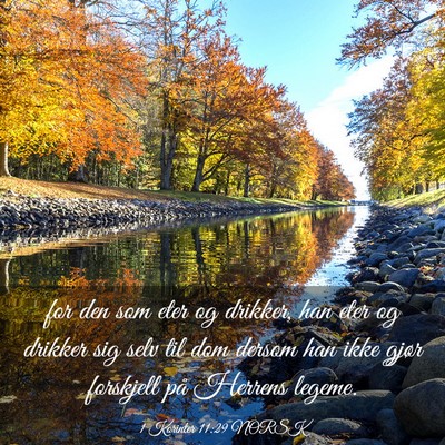 Picture 03 - 1 Korinter 11:29 NORSK - for den som eter og drikker, han eter og drikker - Bible Verse Picture