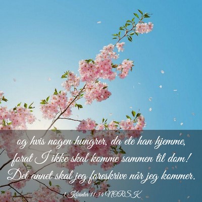 Picture 03 - 1 Korinter 11:34 NORSK - og hvis nogen hungrer, da ete han hjemme, forat I - Bible Verse Picture