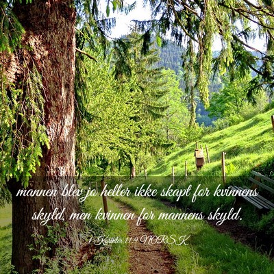 Picture 03 - 1 Korinter 11:9 NORSK - mannen blev jo heller ikke skapt for kvinnens - Bible Verse Picture