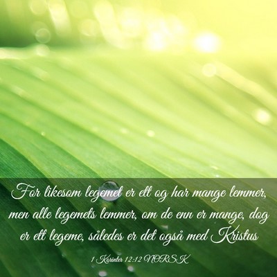 Picture 03 - 1 Korinter 12:12 NORSK - For likesom legemet er ett og har mange lemmer, - Bible Verse Picture