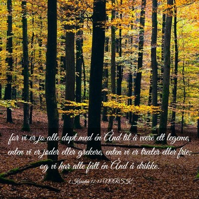 Picture 03 - 1 Korinter 12:13 NORSK - for vi er jo alle døpt med én Ånd til å være - Bible Verse Picture
