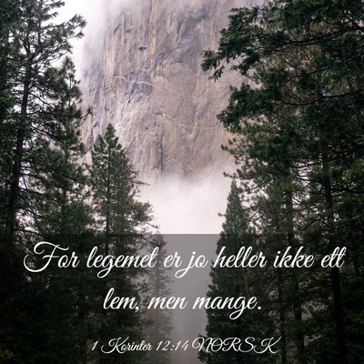 Picture 03 - 1 Korinter 12:14 NORSK - For legemet er jo heller ikke ett lem, men - Bible Verse Picture