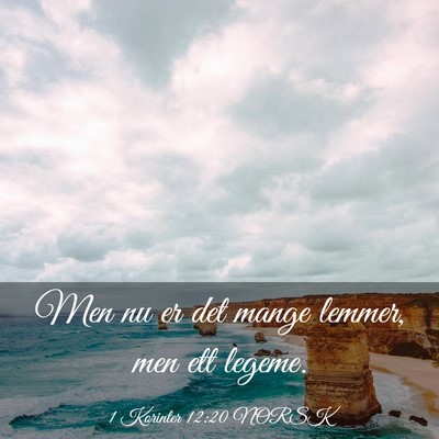 Picture 03 - 1 Korinter 12:20 NORSK - Men nu er det mange lemmer, men ett - Bible Verse Picture