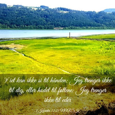 Picture 03 - 1 Korinter 12:21 NORSK - ¥iet kan ikke si til hånden: Jeg trenger ikke - Bible Verse Picture
