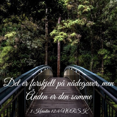 Picture 03 - 1 Korinter 12:4 NORSK - Det er forskjell på nådegaver, men Ånden er - Bible Verse Picture