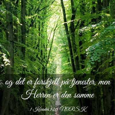 Picture 03 - 1 Korinter 12:5 NORSK - og det er forskjell på tjenester, men Herren er - Bible Verse Picture