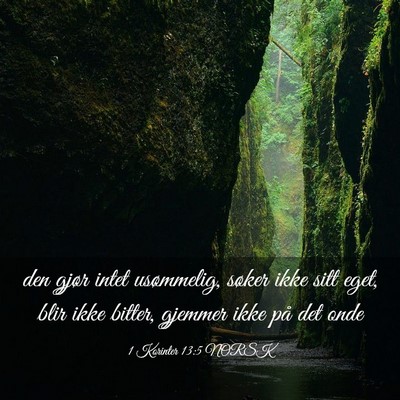 Picture 03 - 1 Korinter 13:5 NORSK - den gjør intet usømmelig, søker ikke sitt - Bible Verse Picture