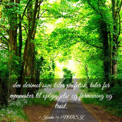 Picture 03 - 1 Korinter 14:3 NORSK - den derimot som taler profetisk, taler for - Bible Verse Picture