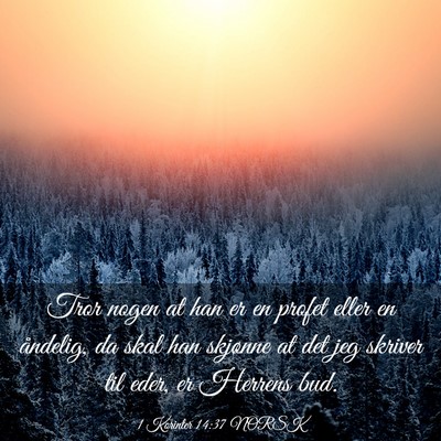 Picture 03 - 1 Korinter 14:37 NORSK - Tror nogen at han er en profet eller en åndelig, - Bible Verse Picture