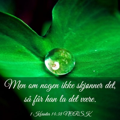 Picture 03 - 1 Korinter 14:38 NORSK - Men om nogen ikke skjønner det, så får han la - Bible Verse Picture