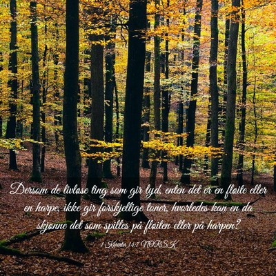 Picture 03 - 1 Korinter 14:7 NORSK - Dersom de livløse ting som gir lyd, enten det er - Bible Verse Picture