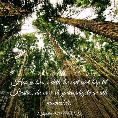 Picture 03 - 1 Korinter 15:19 NORSK - Har vi bare i dette liv satt vårt håp til - Bible Verse Picture